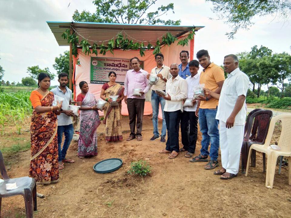 Bathukamma